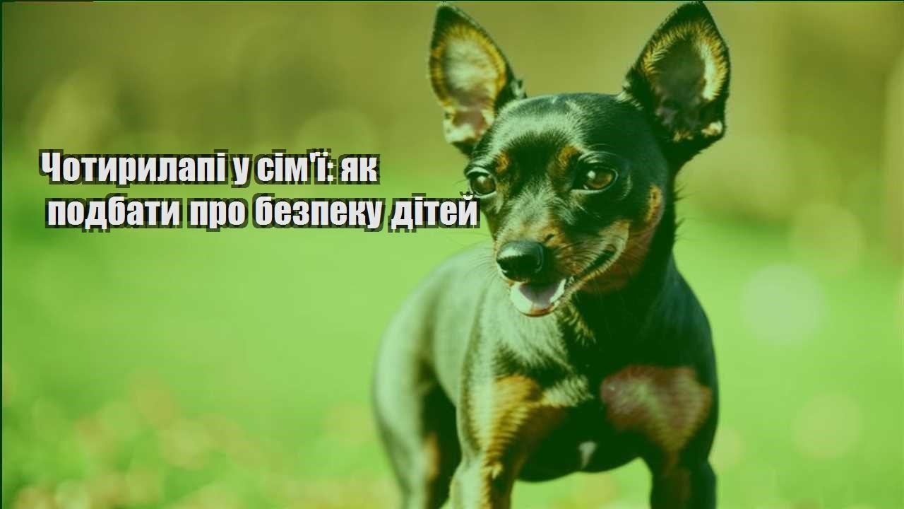 chotyrylapi u simyi yak podbaty pro bezpeku ditej