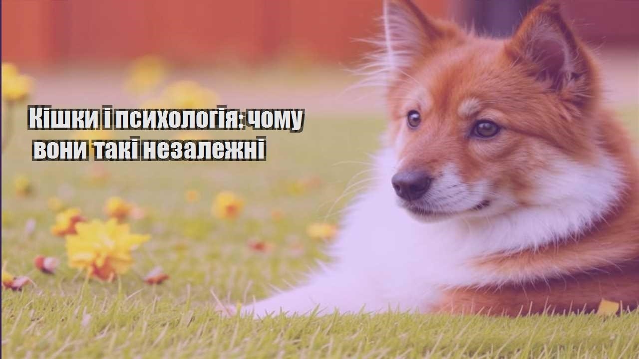 kishky i psyhologiya chomu vony taki nezalezhni