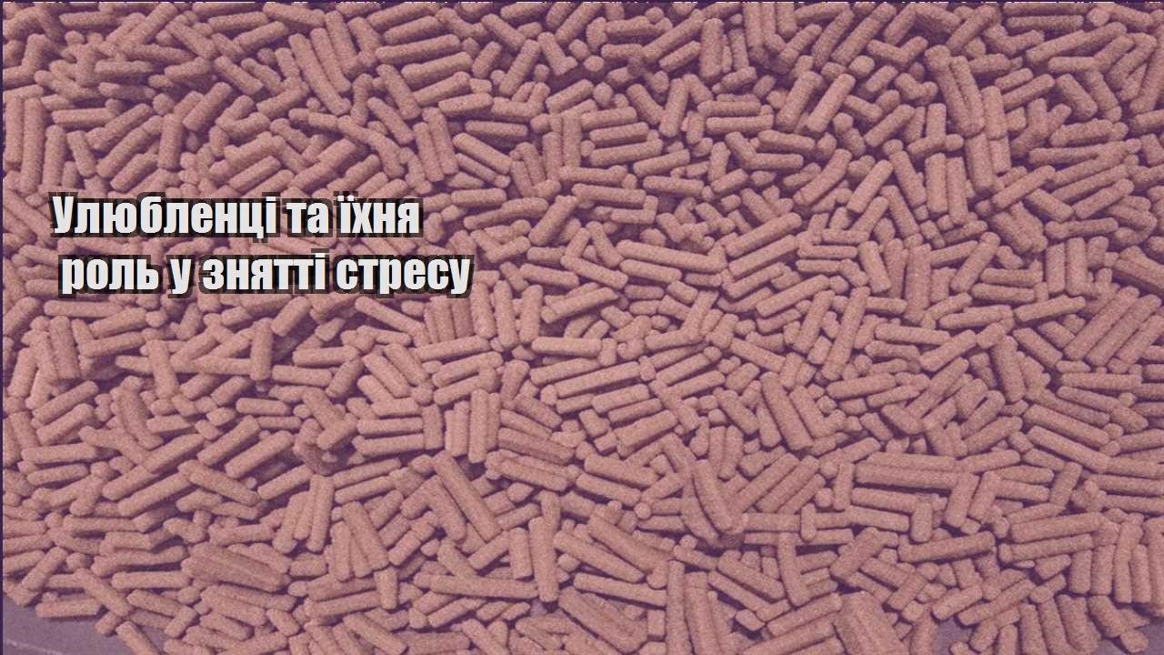 ulyublenczi ta yihnya rol u znyatti stresu
