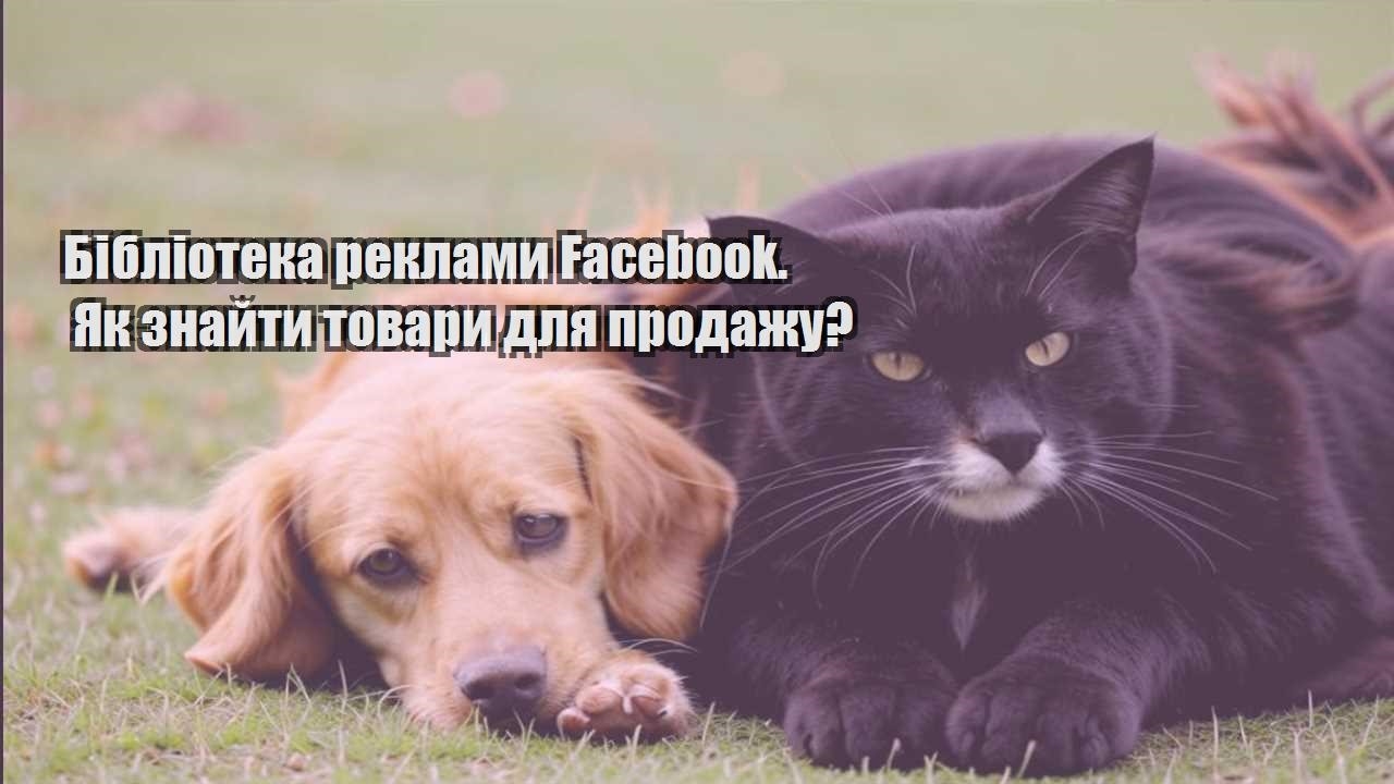 biblioteka reklamy facebook. yak znajty tovary dlya prodazhu