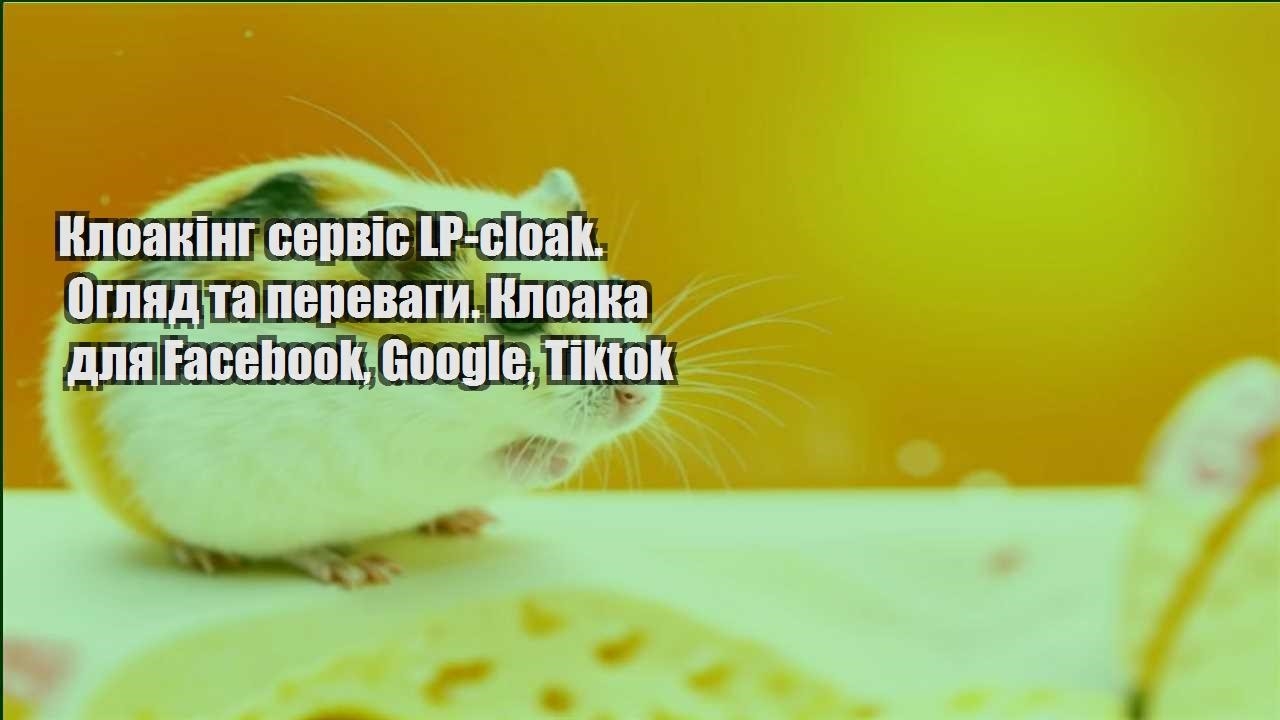 kloaking servis lp cloak. oglyad ta perevagy. kloaka dlya facebook google tiktok