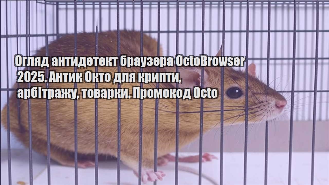 oglyad antydetekt brauzera octobrowser 2025. antyk okto dlya krypty arbitrazhu tovarky. promokod octo