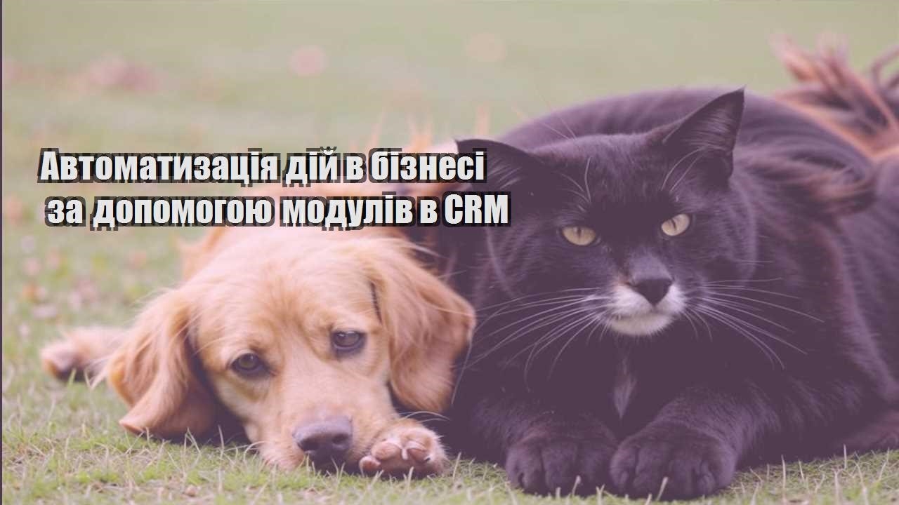 avtomatyzacziya dij v biznesi za dopomogoyu moduliv v crm