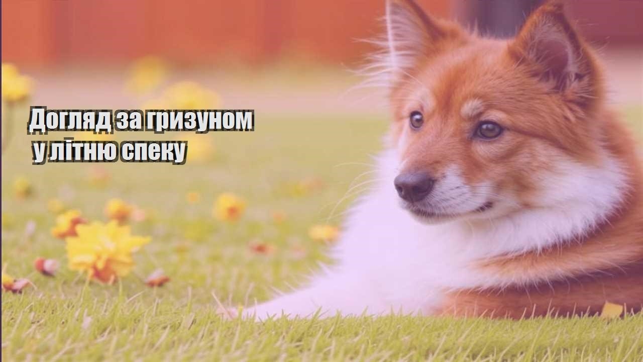 doglyad za gryzunom u litnyu speku