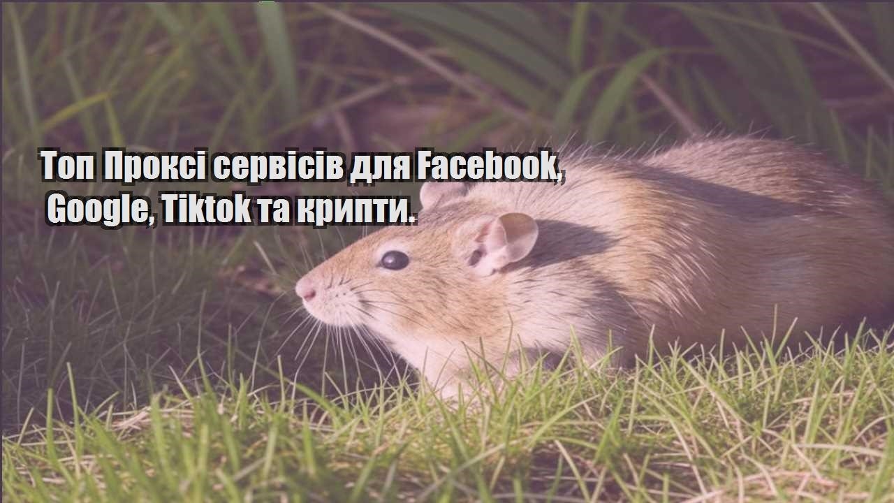 top proksi servisiv dlya facebook google tiktok ta krypty