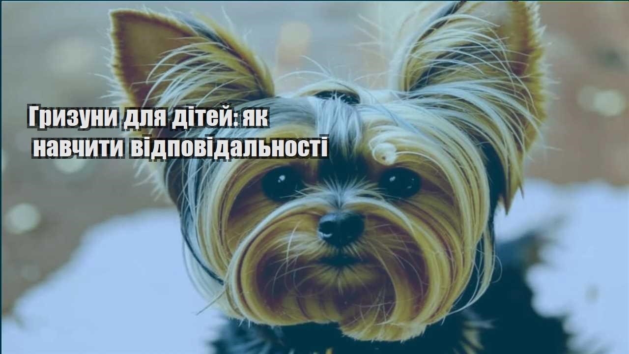gryzuny dlya ditej yak navchyty vidpovidalnosti