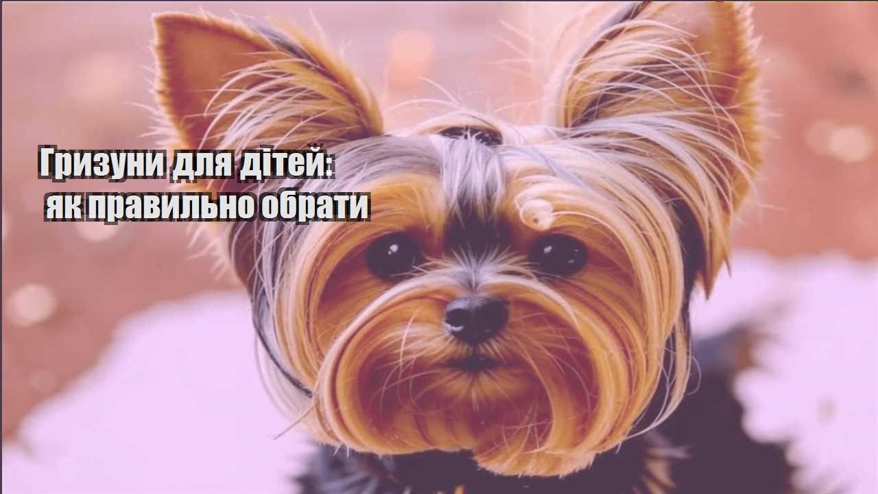 gryzuny dlya ditej yak pravylno obraty