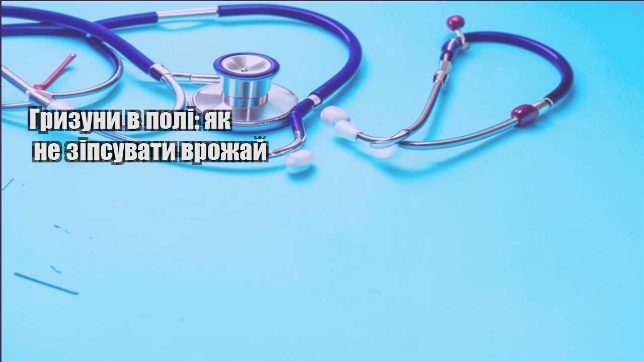 gryzuny v poli yak ne zipsuvaty vrozhaj