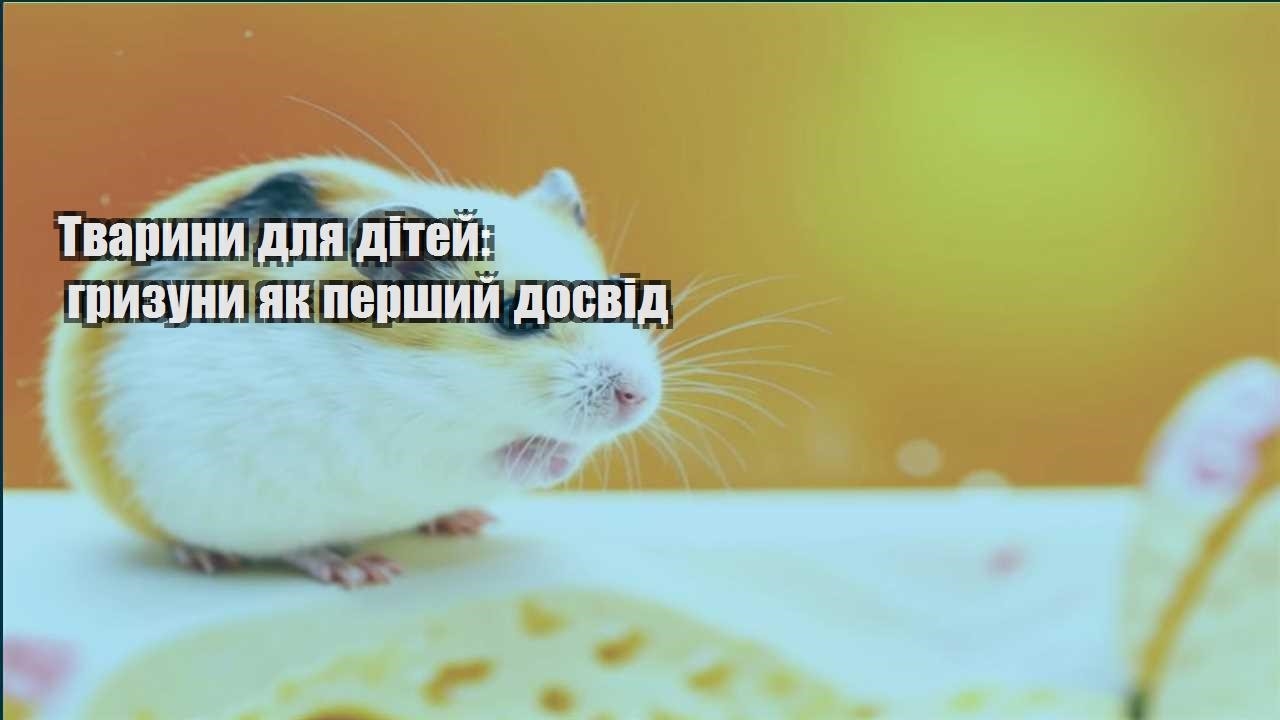 tvaryny dlya ditej gryzuny yak pershyj dosvid