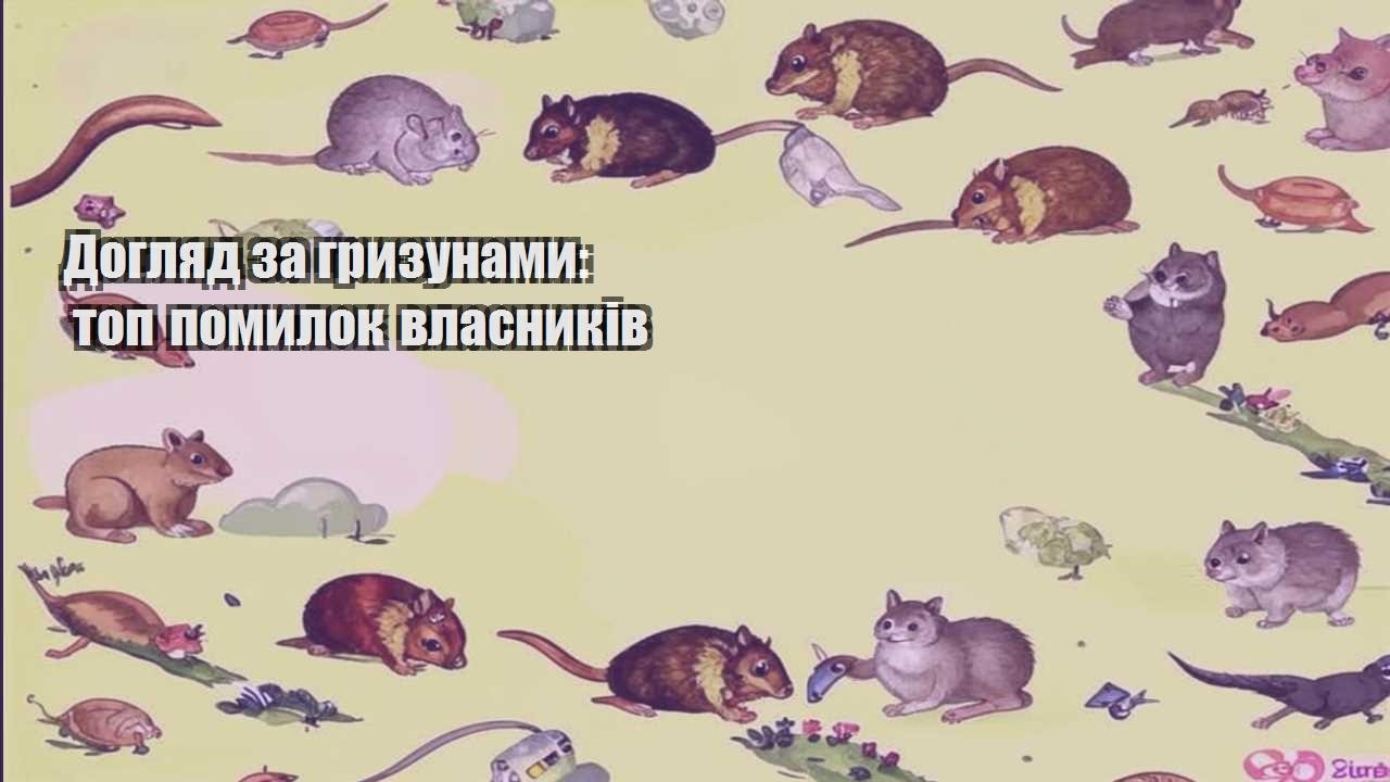 doglyad za gryzunamy top pomylok vlasnykiv