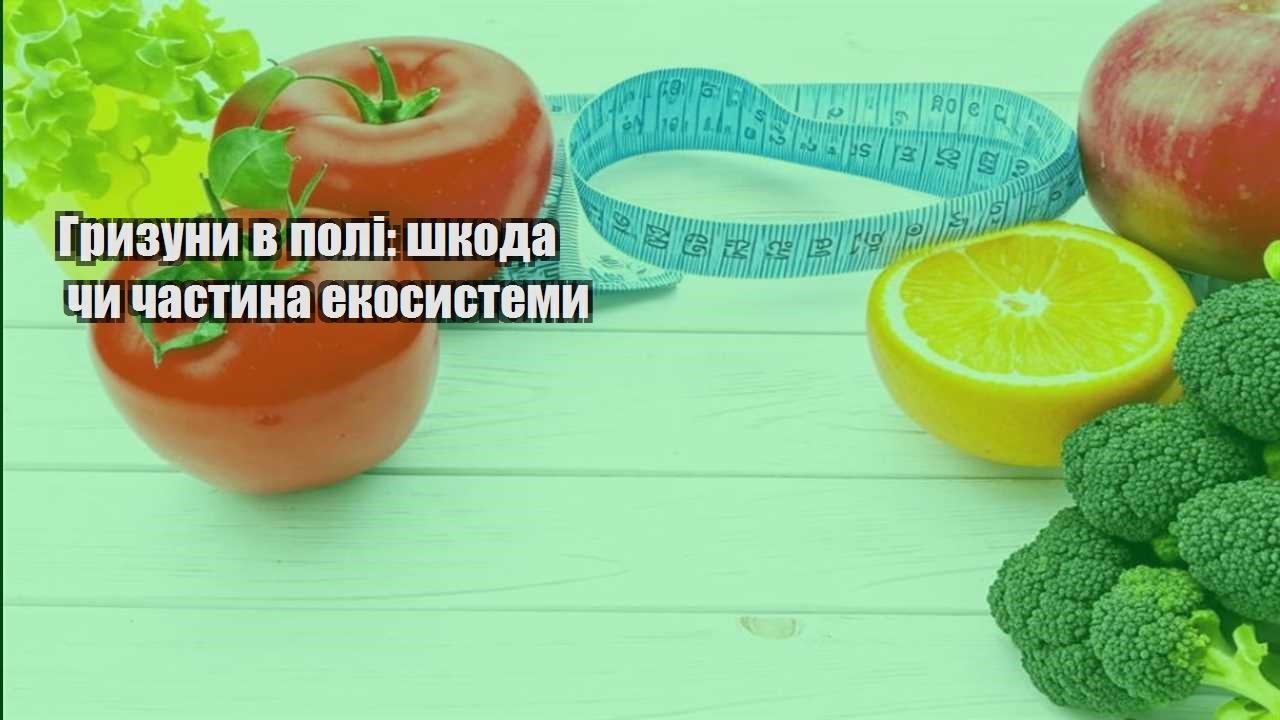 gryzuny v poli shkoda chy chastyna ekosystemy