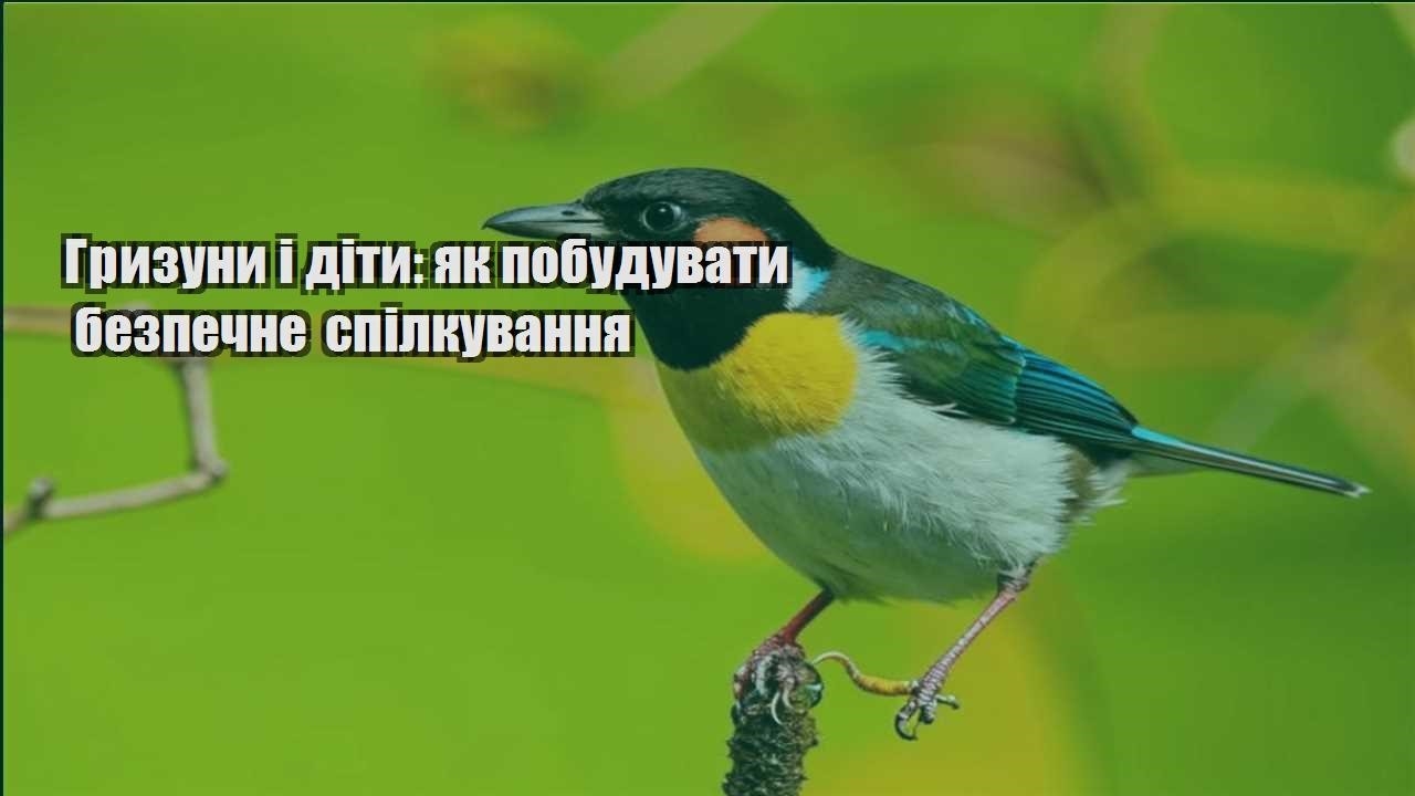 gryzuny i dity yak pobuduvaty bezpechne spilkuvannya