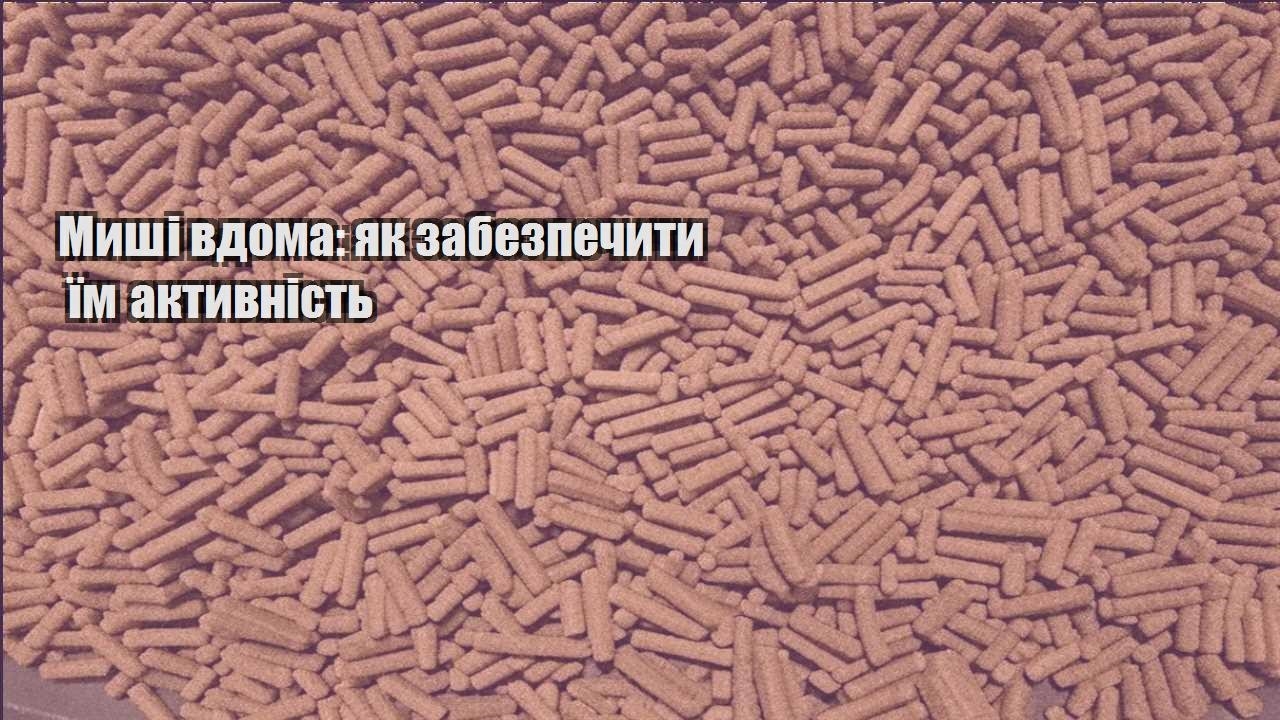 myshi vdoma yak zabezpechyty yim aktyvnist