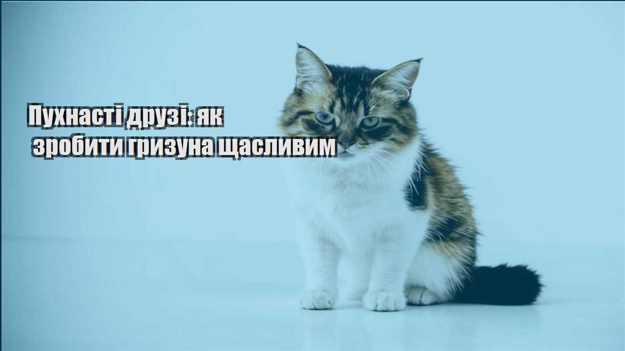 puhnasti druzi yak zrobyty gryzuna shhaslyvym