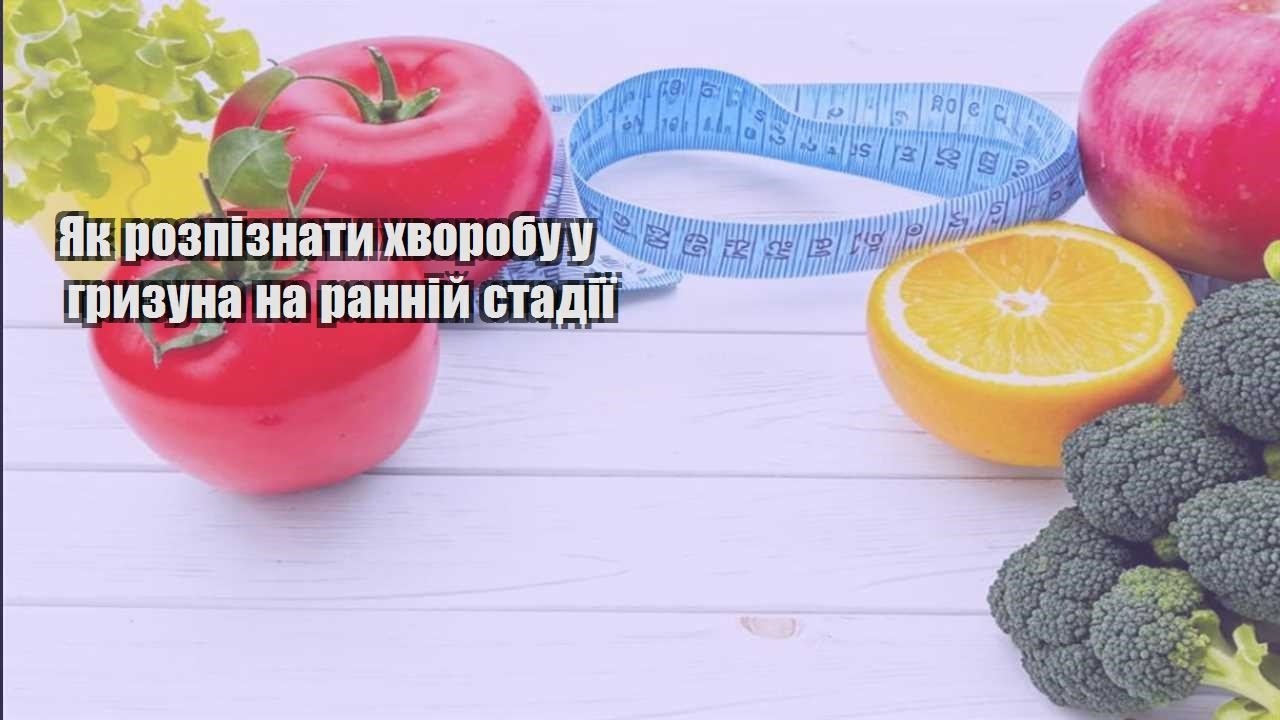 yak rozpiznaty hvorobu u gryzuna na rannij stadiyi