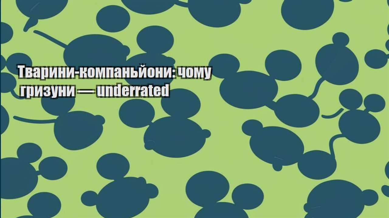 tvaryny kompanjony chomu gryzuny — underrated