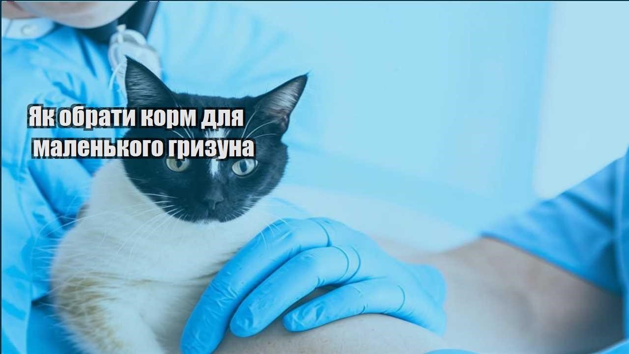 yak obraty korm dlya malenkogo gryzuna