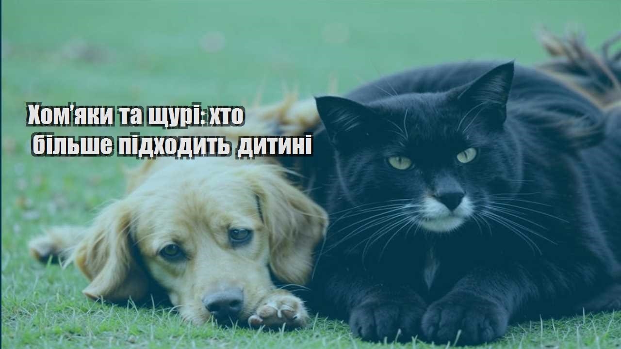 homyaky ta shhuri hto bilshe pidhodyt dytyni