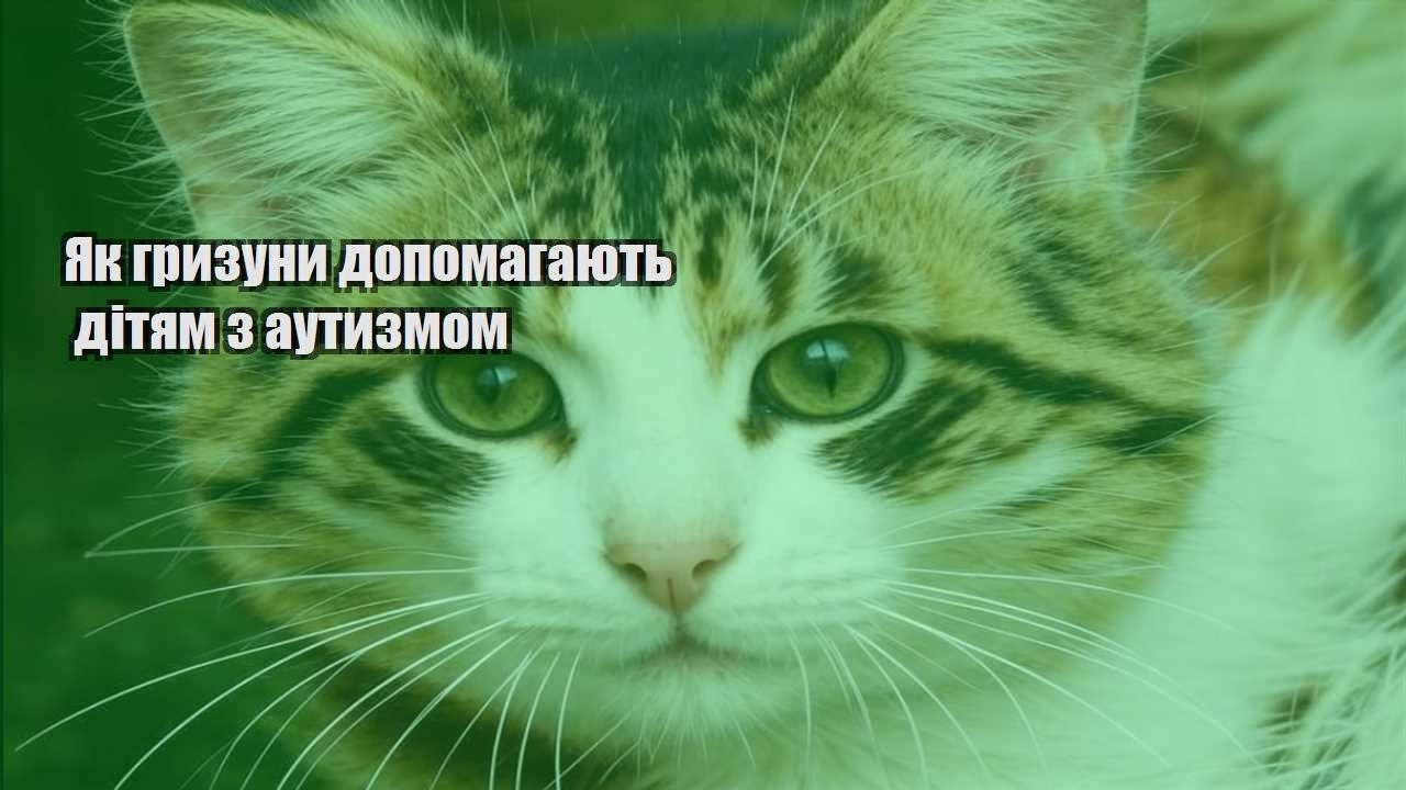 yak gryzuny dopomagayut dityam z autyzmom