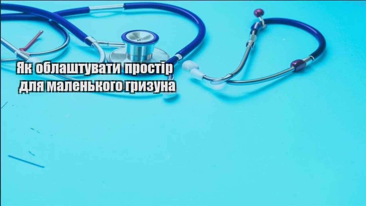 yak oblashtuvaty prostir dlya malenkogo gryzuna