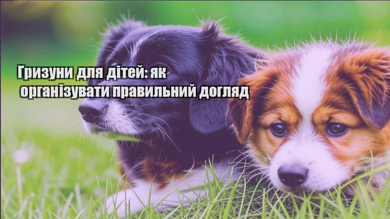 gryzuny dlya ditej yak organizuvaty pravylnyj doglyad