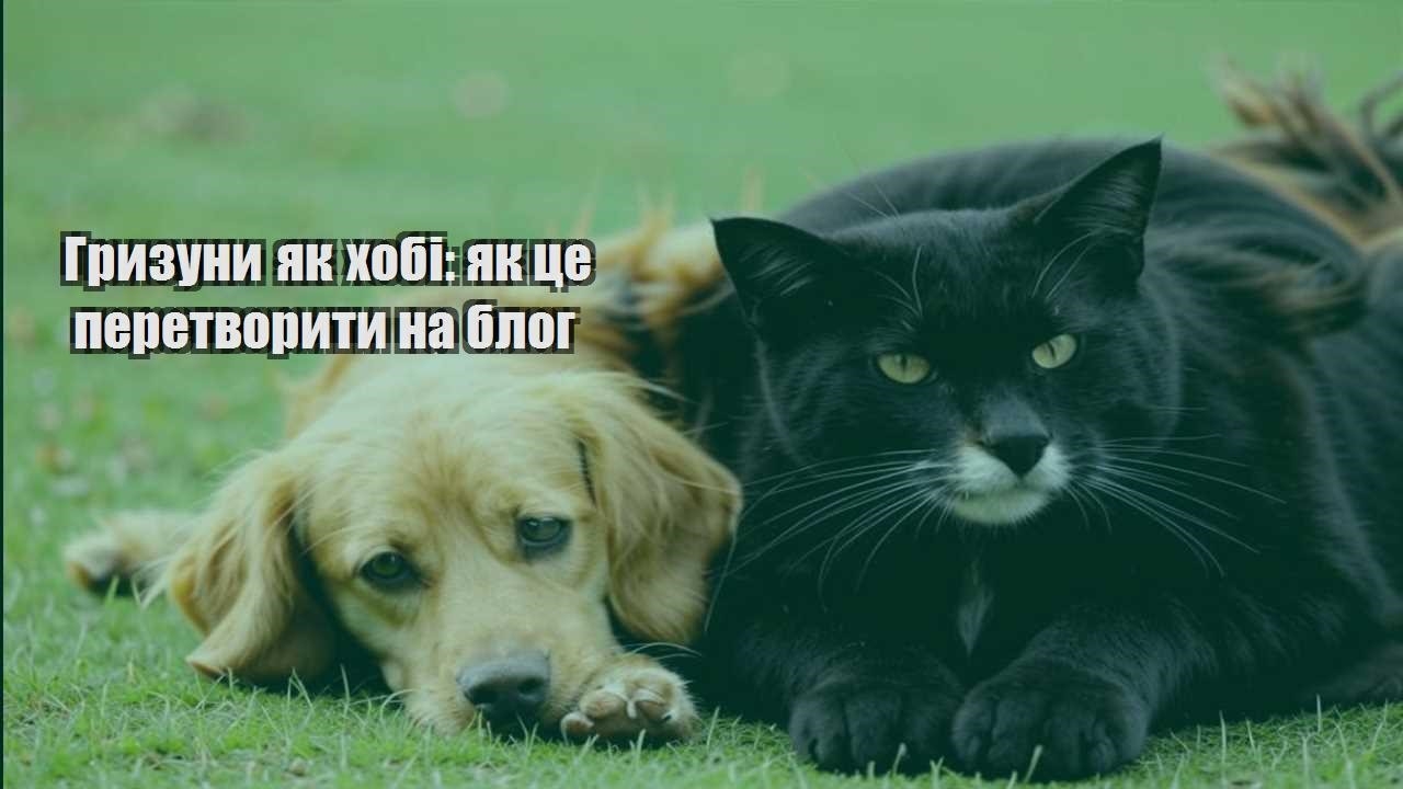gryzuny yak hobi yak cze peretvoryty na blog