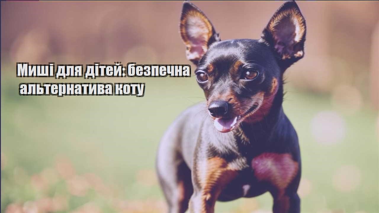myshi dlya ditej bezpechna alternatyva kotu