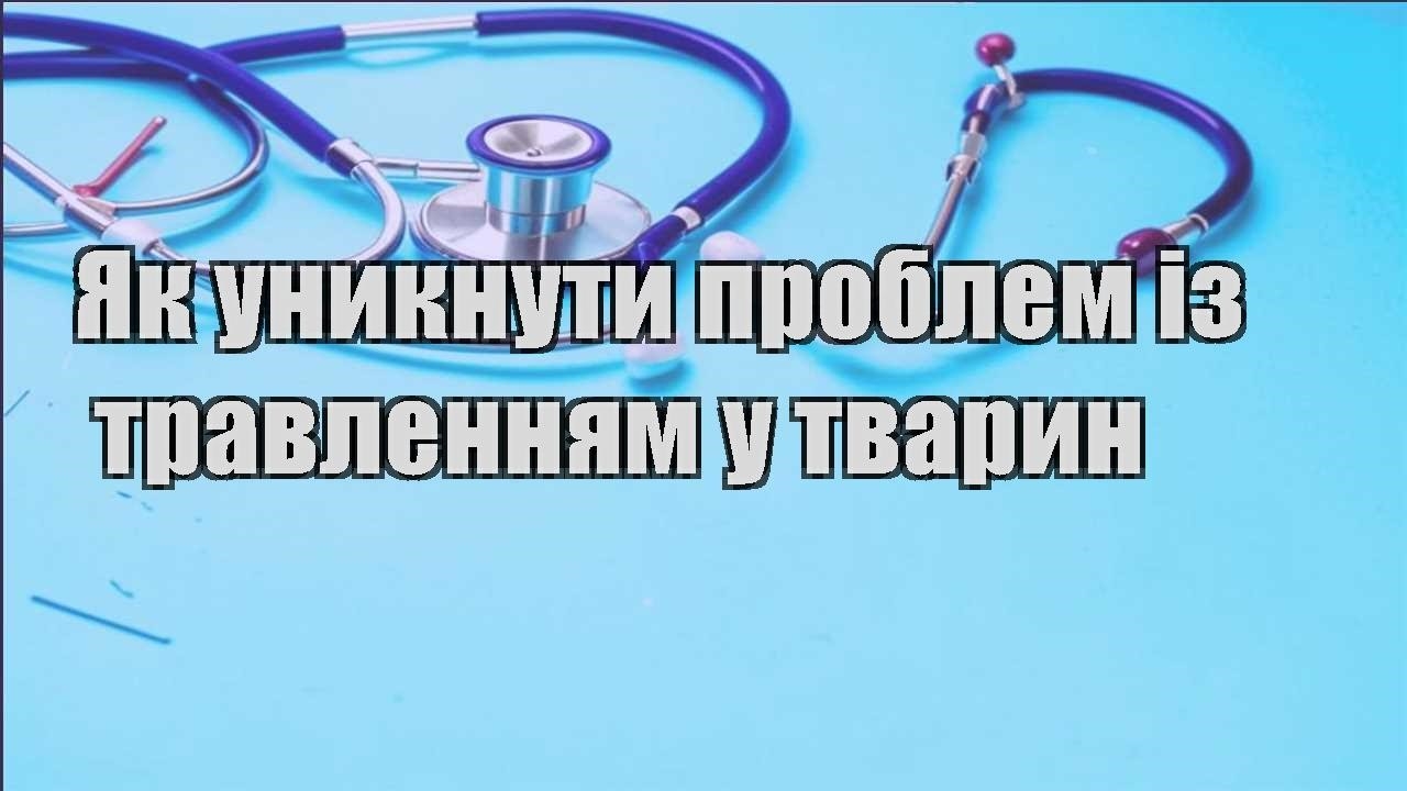 yak unyknuty problem iz travlennyam u tvaryn