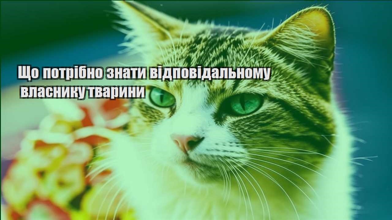 shho potribno znaty vidpovidalnomu vlasnyku tvaryny