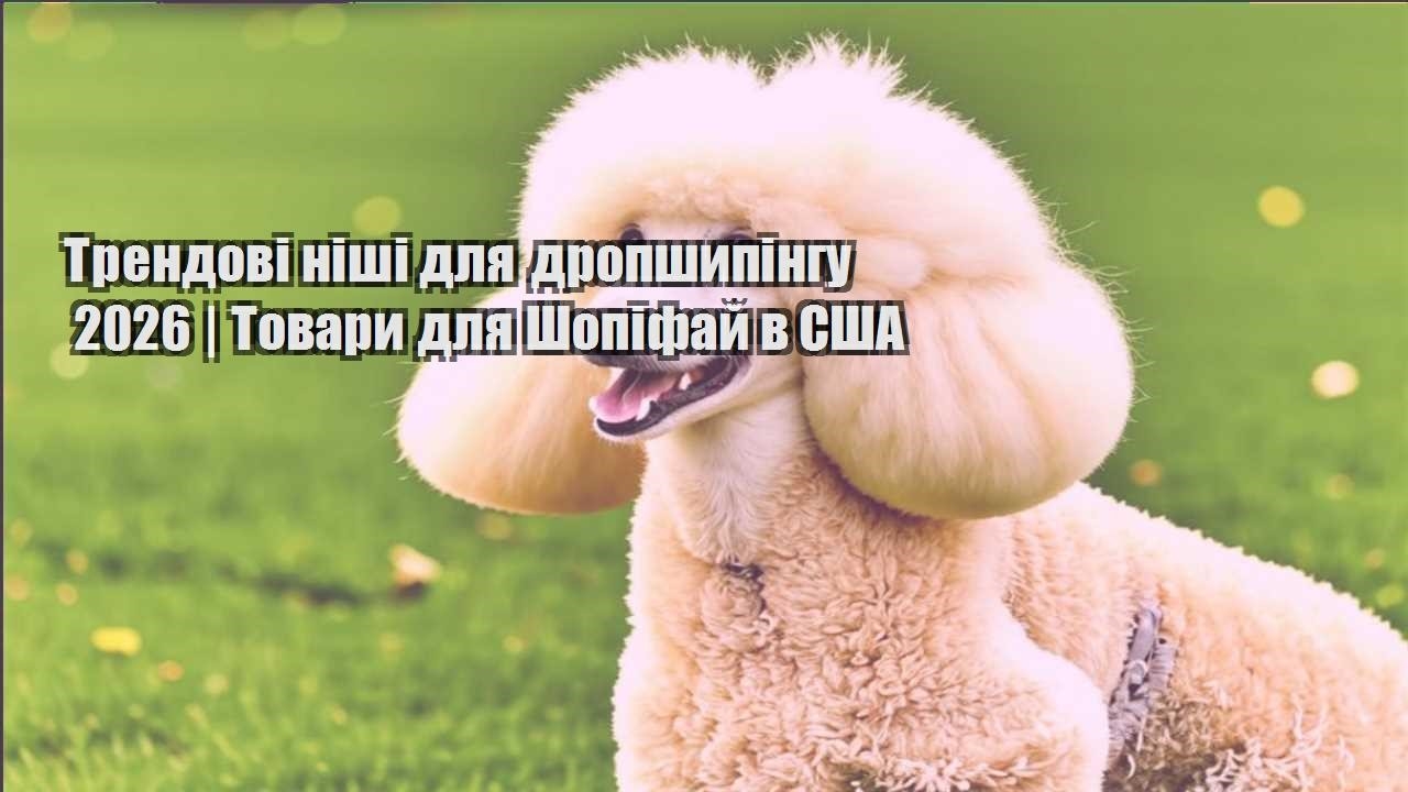 trendovi nishi dlya dropshypingu 2026 tovary dlya shopifaj v ssha