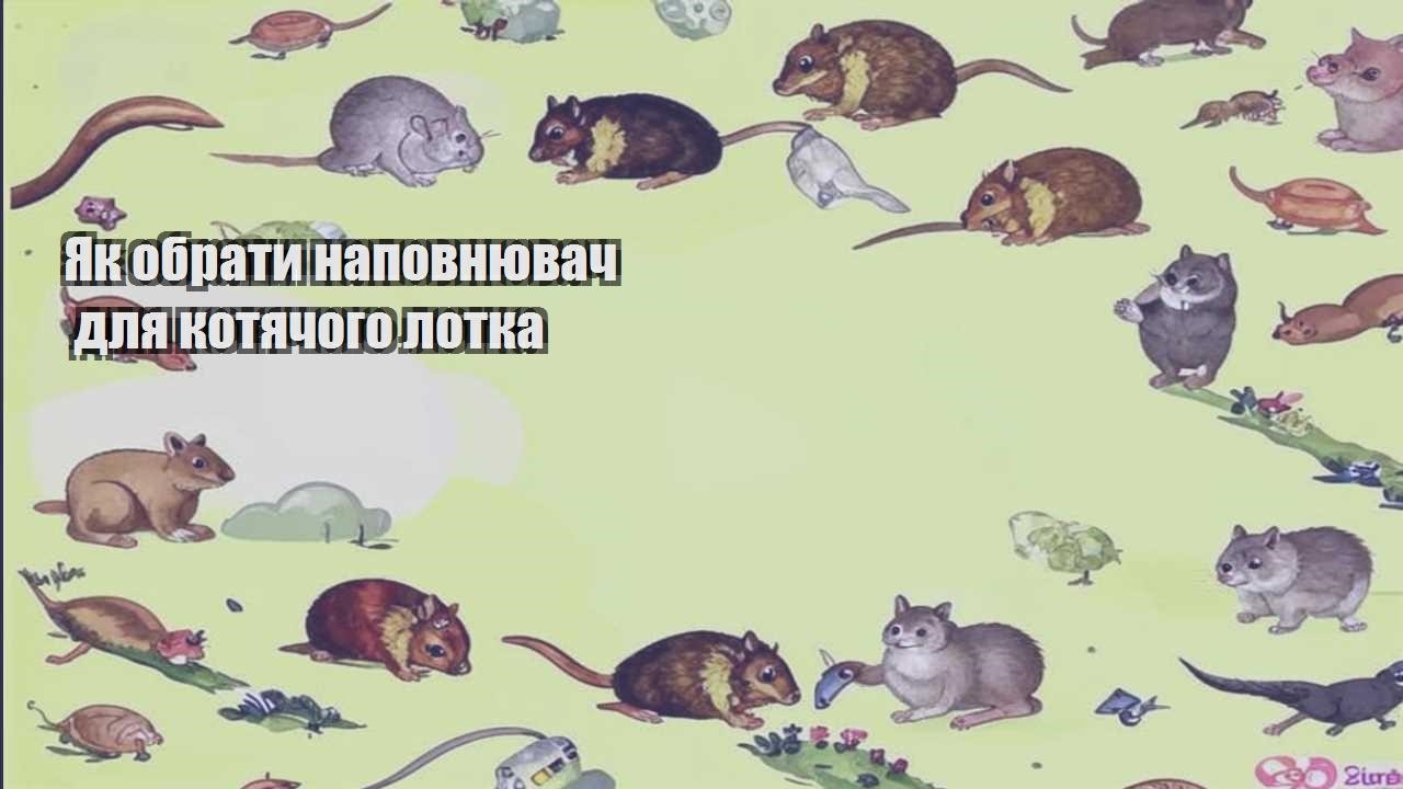 yak obraty napovnyuvach dlya kotyachogo lotka