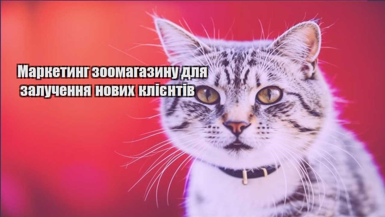 marketyng zoomagazynu dlya zaluchennya novyh kliyentiv