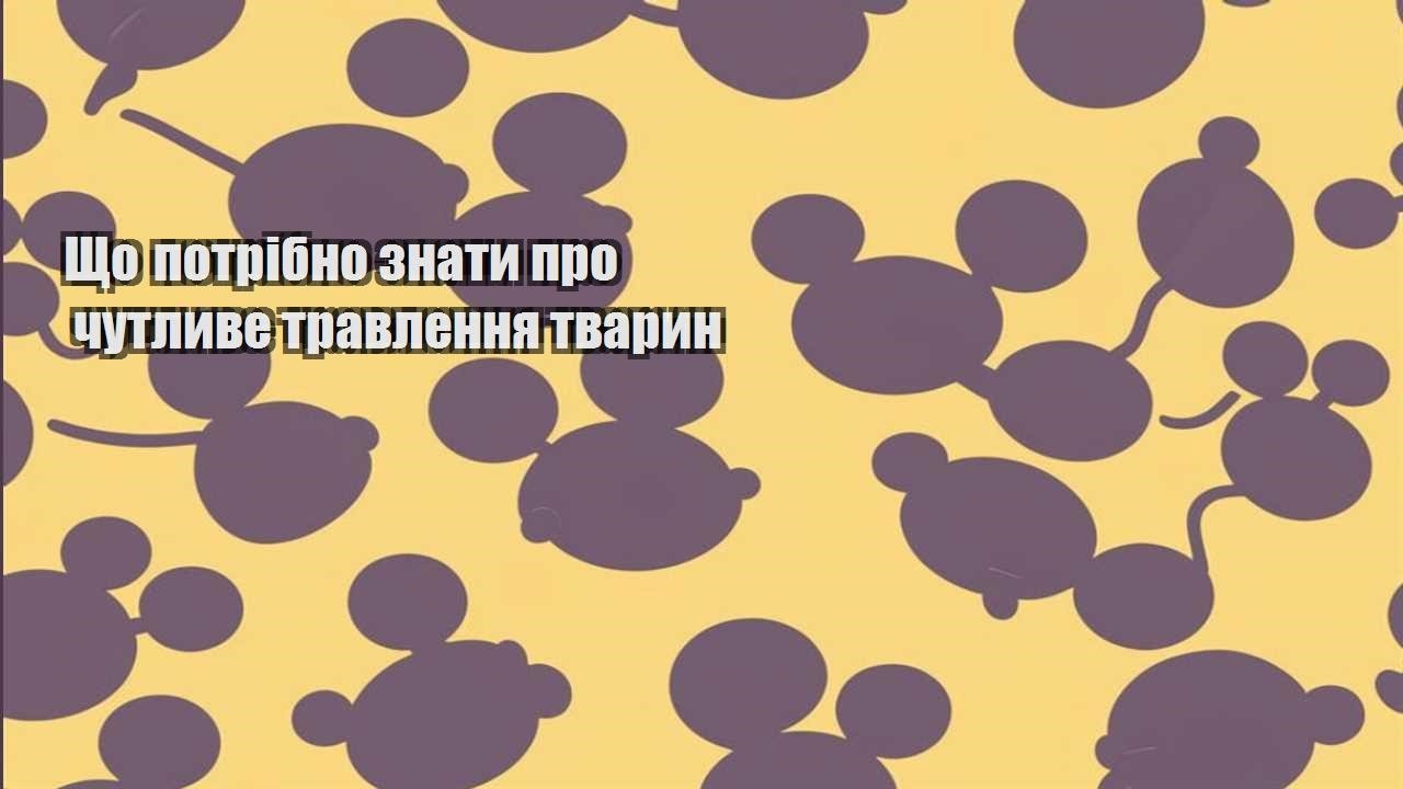 shho potribno znaty pro chutlyve travlennya tvaryn